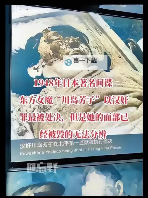 偷看日本女人上厕所间谍事件揭秘:隐秘背后的真相图1