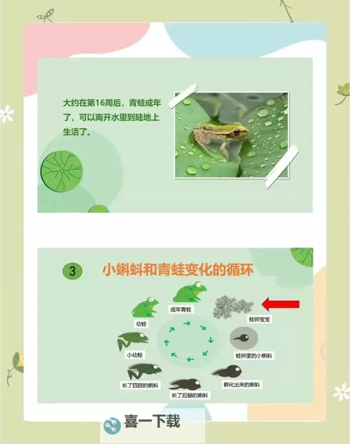 探索精彩内容：蝌蚪福利综合网全面介绍图1