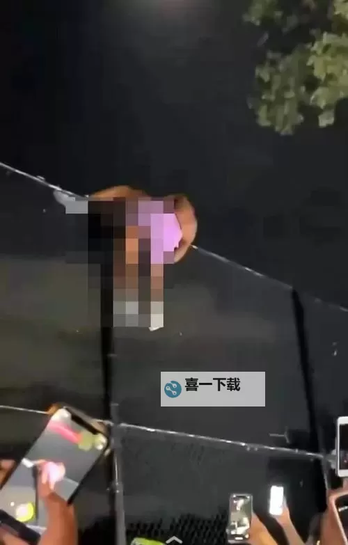 黑龙江科技大学偷拍视频事件引发热议与安全隐患关注图1