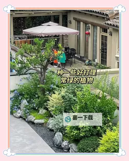怎么弄小花园最疼:打造独特花海的巧思与误区图1