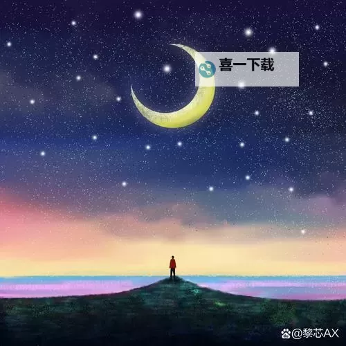 在星光下微笑：我心中最好的夜晚图1