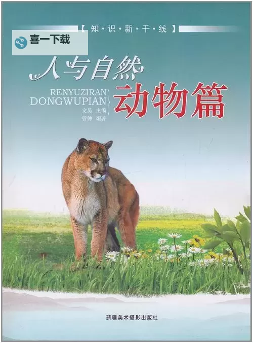 动物干人HDxx：探索动物与人类互动的奇妙世界图1