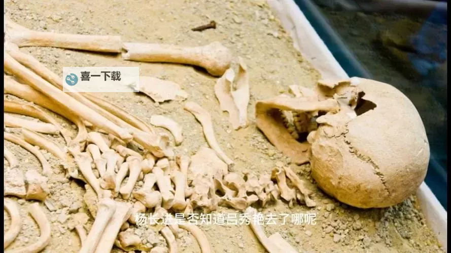 白骨精掉落物展示图：揭秘妖怪背后的神秘宝藏图1