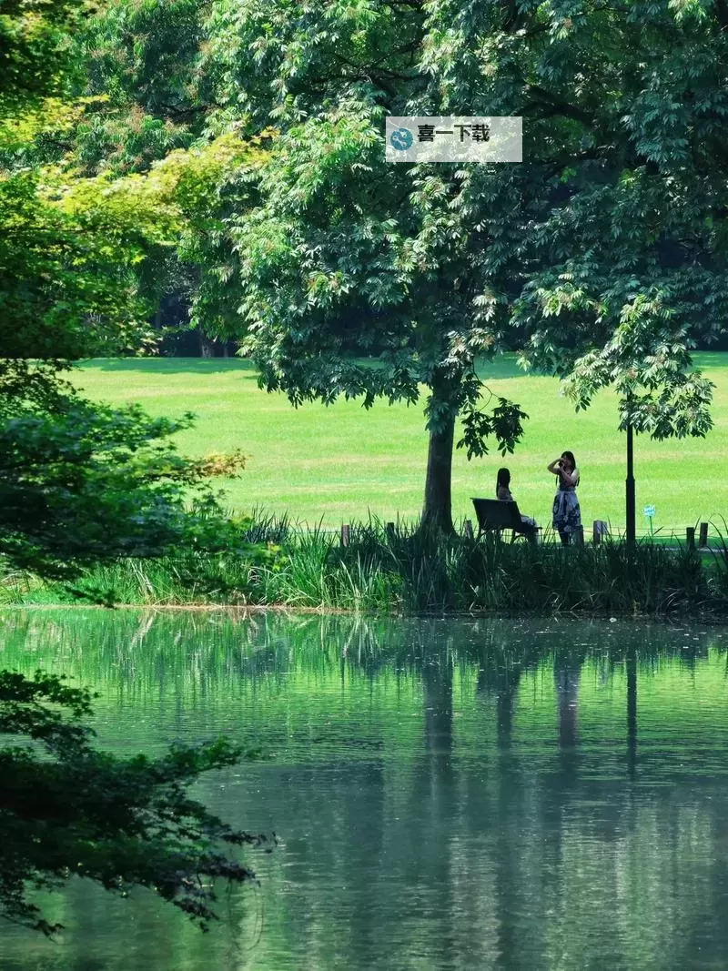 蒙多全输出装：打造极致伤害的终极装备方案图1