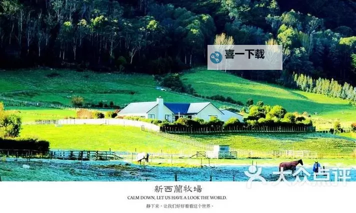 探秘青青草原原网站：了解绿色牧场的最全资料图1