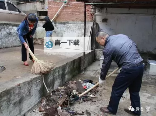 全民关注：人人人人人人人草的现象解析图1