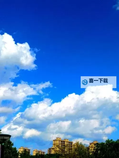 详细解读中文字幕无码1页:内容介绍与常见问题分析图2