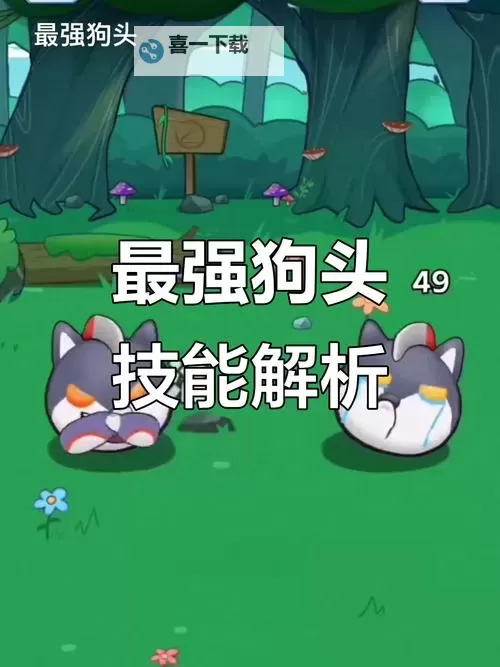 狗头最快速叠Q技巧揭秘：快速提升游戏水平的方法图2