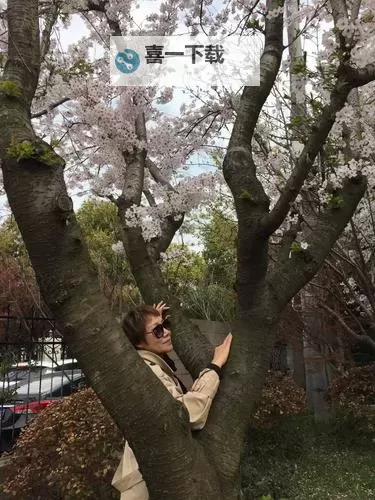 长泽梓下马：青春瞬间的温馨记忆图2