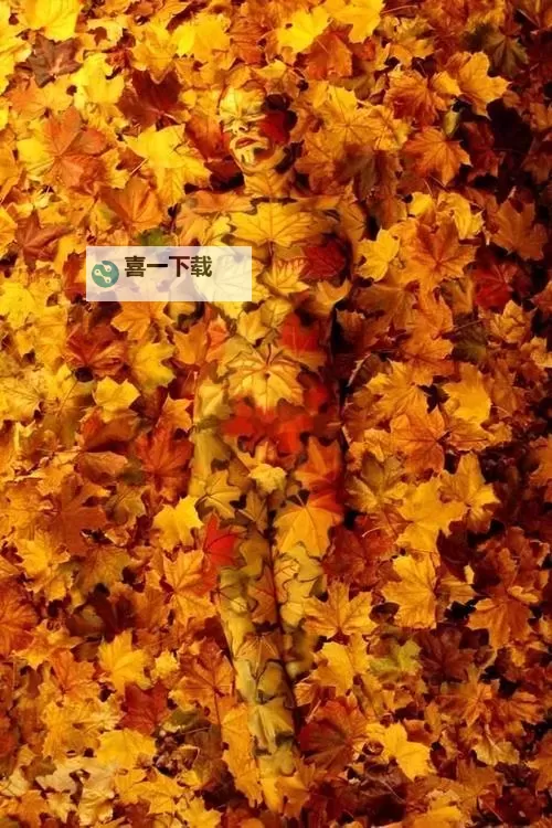 喻可欣人体艺术：展现艺术与美的极致融合图1