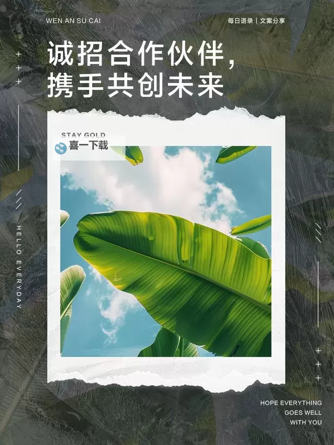 正式服招募开启,携手共创精彩未来图1