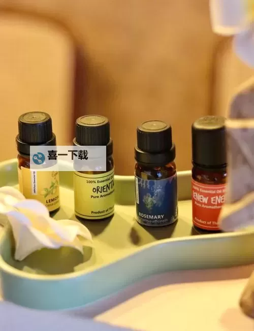 探索极致体验：99热这里都是精品的完美享受图1