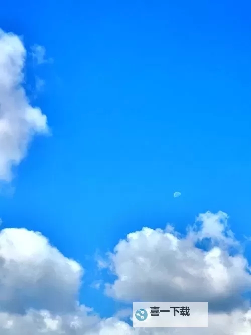 详细解读中文字幕无码1页:内容介绍与常见问题分析图1