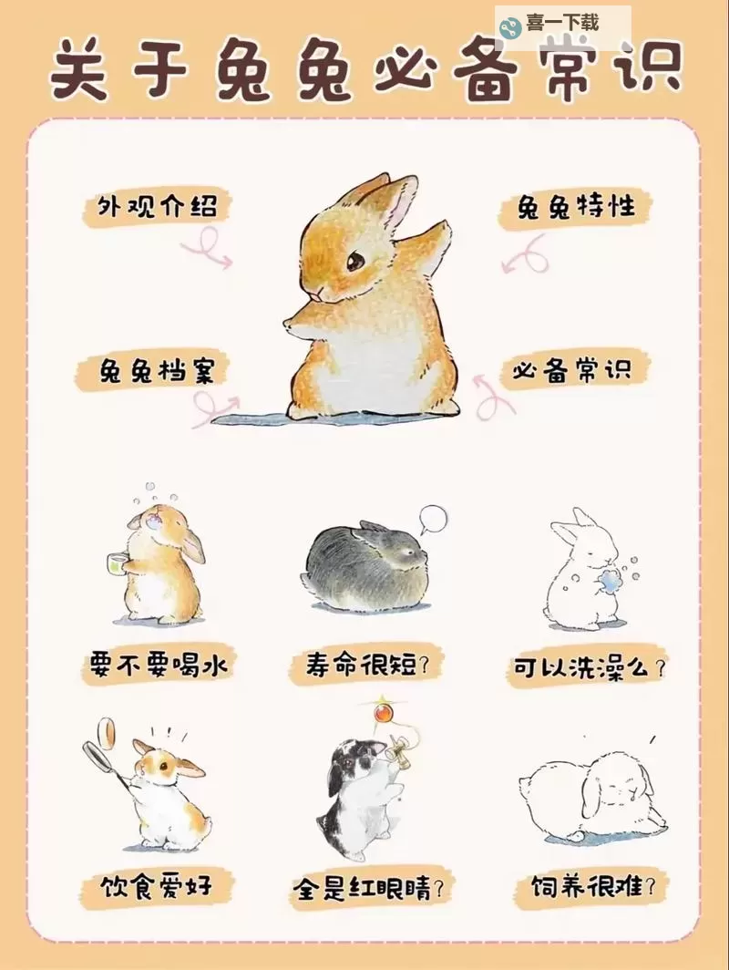 怎么喂老公晚上吃小兔兔呢？趣味指南与技巧揭秘图1