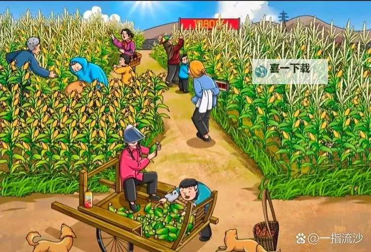 玉米地刮伦传奇:乡村故事的独特记忆图1