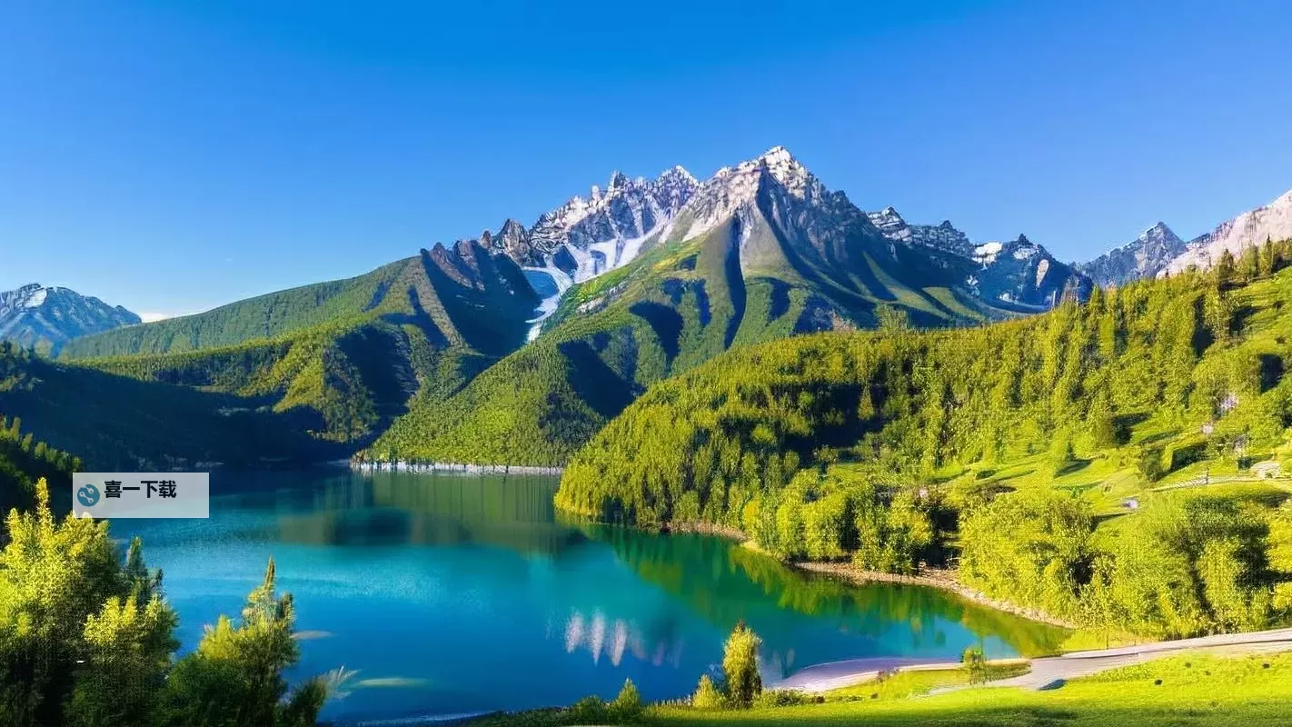 探索自然奇迹:悠悠九色精华的神奇魅力图1