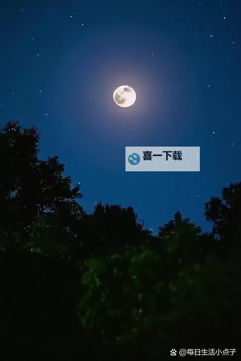 月亮和他有秘密 PO:夜空下的未揭之谜图1