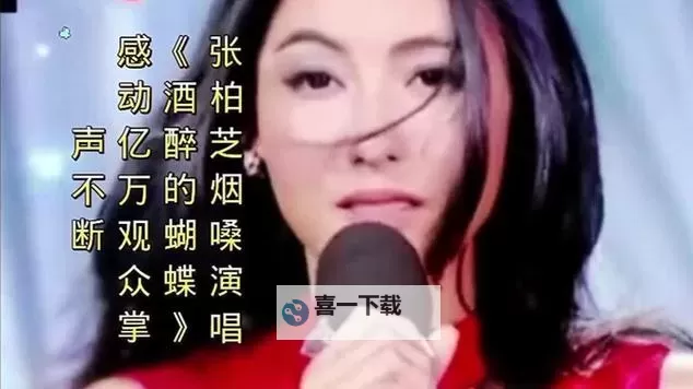 张柏芝酒醉的蝴蝶:夜色中翩然的迷离梦影图1