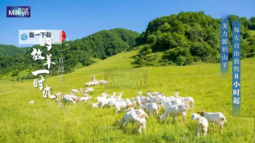 青青草原之老王1.3下载——畅享绿色牧场全新体验图1