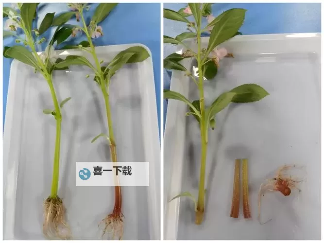 坐在根茎写作业好吗?探讨自然中的学习新体验图1