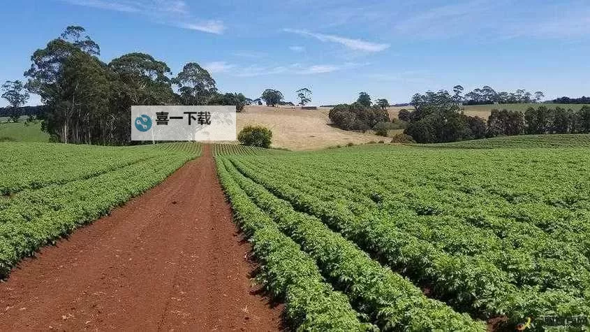 提升农田效益：优质jy灌溉系统NPC全面解析图2