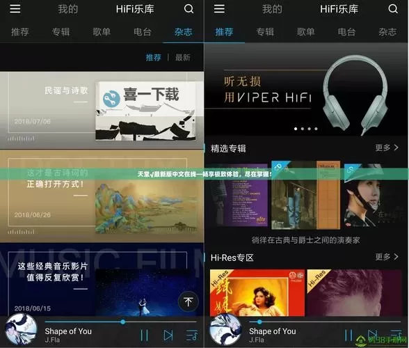 探索中文字幕无限码一区：高清视频资源快速获取指南图1