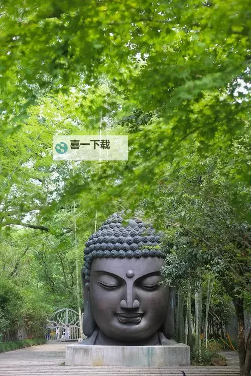 驯龙高手十大最强之龙：最强传奇龙排行榜揭晓图2