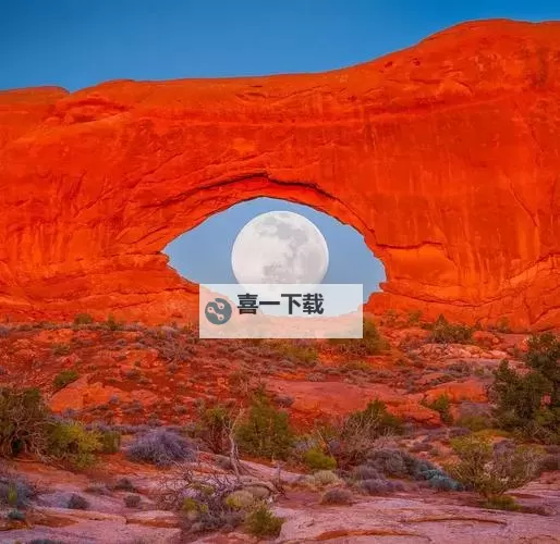 探索大自然中的奇观:又大又长又粗的奇异景观图1