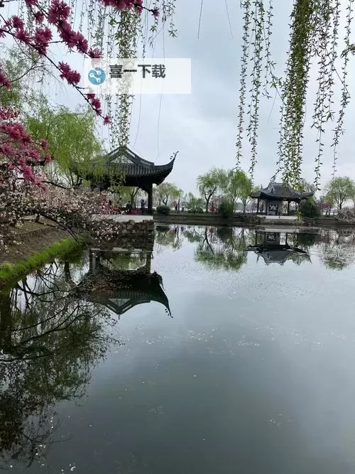 在线A站B站免费看电影软件推荐与使用指南图1