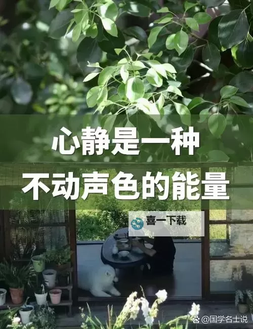 让心静如一：一动不动的图片带字带来的深刻共鸣图1