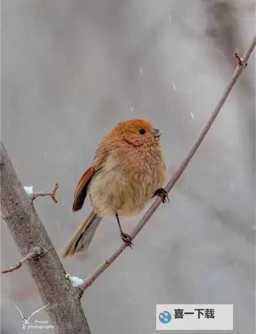 虐杀原形呼叫Mcmullen:揭秘背后未公开的故事图2