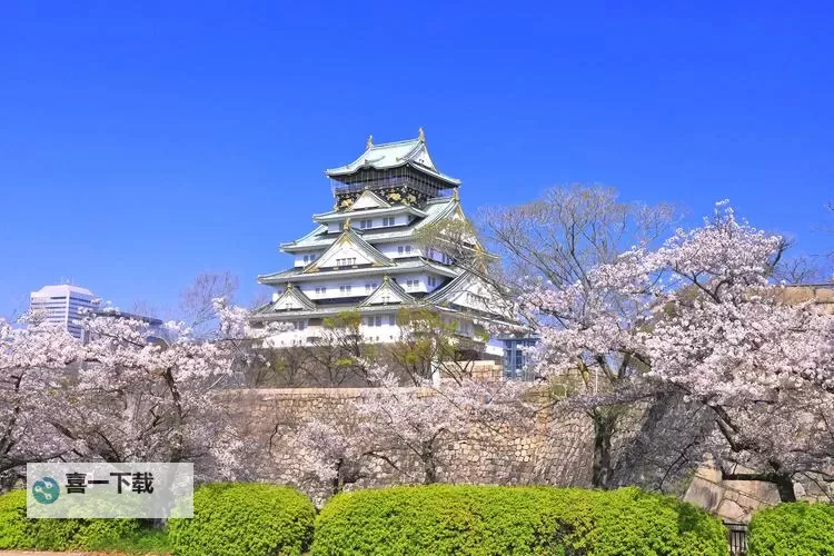 最好看日本免费景点推荐,畅游东京大阪的必访之地图1