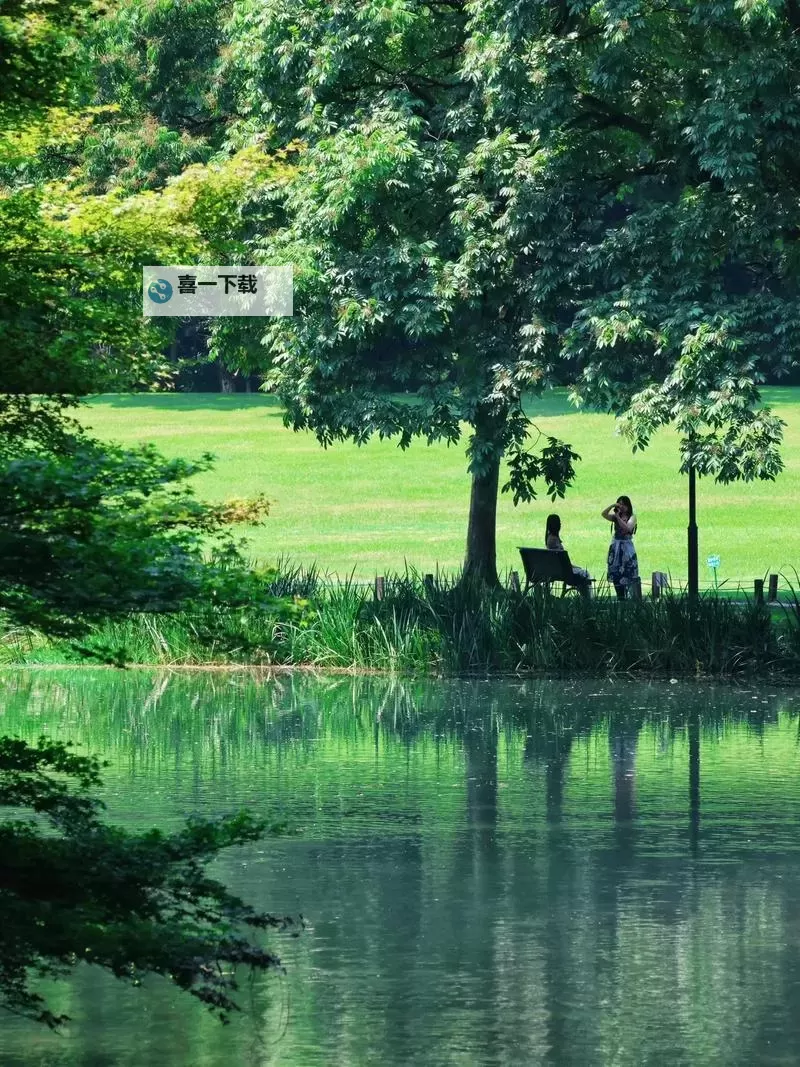 caoliu社区最新动态:全面解析2024年的最新资讯与趋势图2