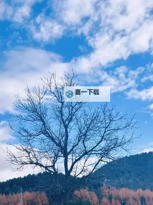 驯龙高手十大最强之龙：最强传奇龙排行榜揭晓图1