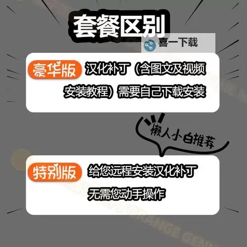 热血无赖英文版怎么显示中文的操作指南图1