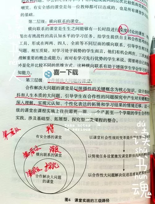在语文课上强插语文课代表:学生困惑与课程管理探讨图1