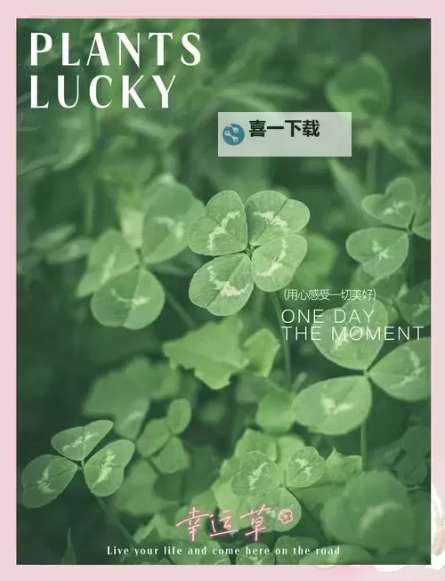 寻找幸运的秘密：好运护符另一半在哪里？图1