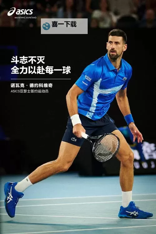 Nole德约科维奇收藏全景：揭秘网球巨星的珍贵藏品图1