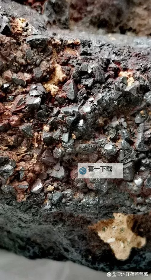 什么材质上级元素结晶最多——揭秘结晶之最图1