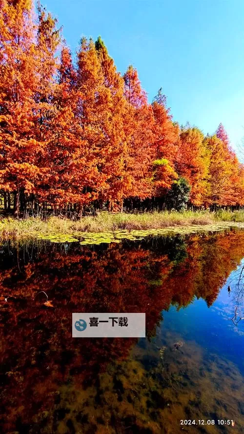 畅享无限精彩：swag在线观看带你领略精彩世界图1