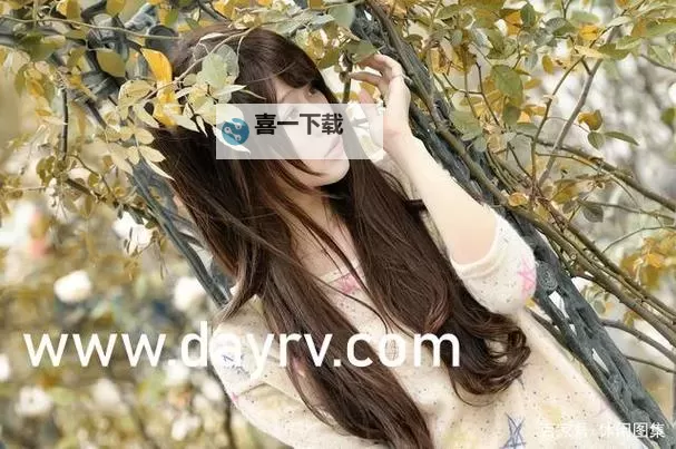 探秘一区二区三区高清无：精彩画质尽享视觉盛宴图1