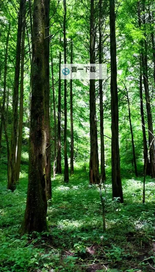 成人看屁屁娱乐:趣味无限的视觉享受与轻松时光图1