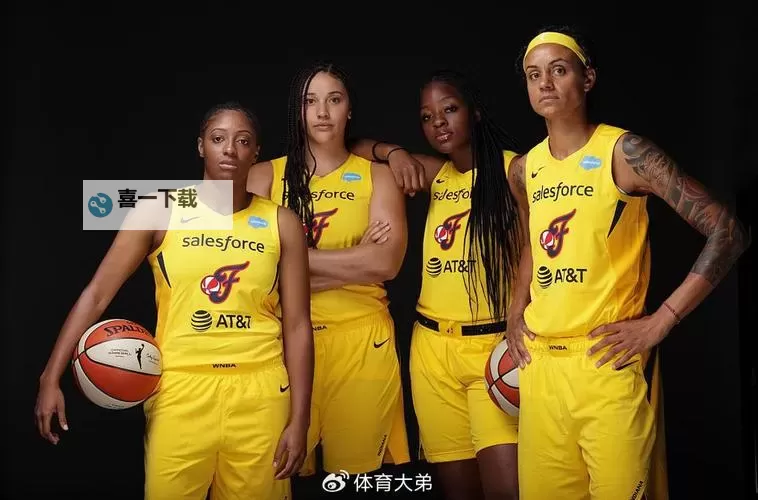 王牌对自由人WNBA：巅峰对决引爆赛场激情图2