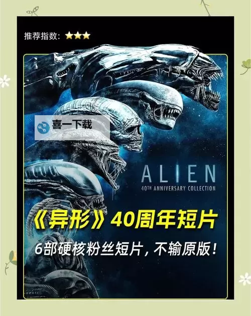 《异形5上映了吗:最新消息与预告片解析》图1