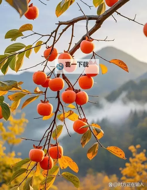 探索隐秘角落：全面解析摄像头偷拍福利导航的发展与现状图1