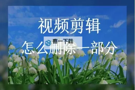 怎么删除视频观看历史的详细步骤指南图2