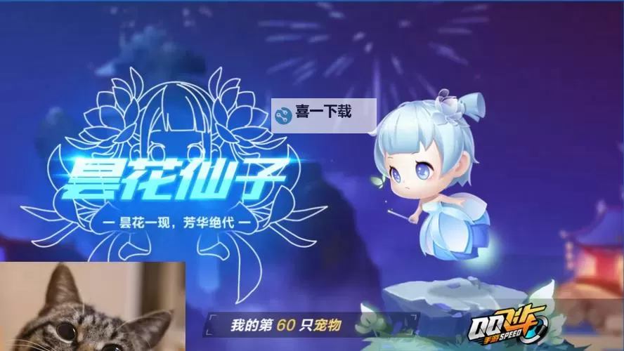 手游恶魔之刃泰达米尔怎么样:技能评测与使用建议图2