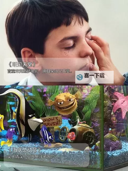 三年中文在线观看免费高清第4版：完整内容免费观看指南图1