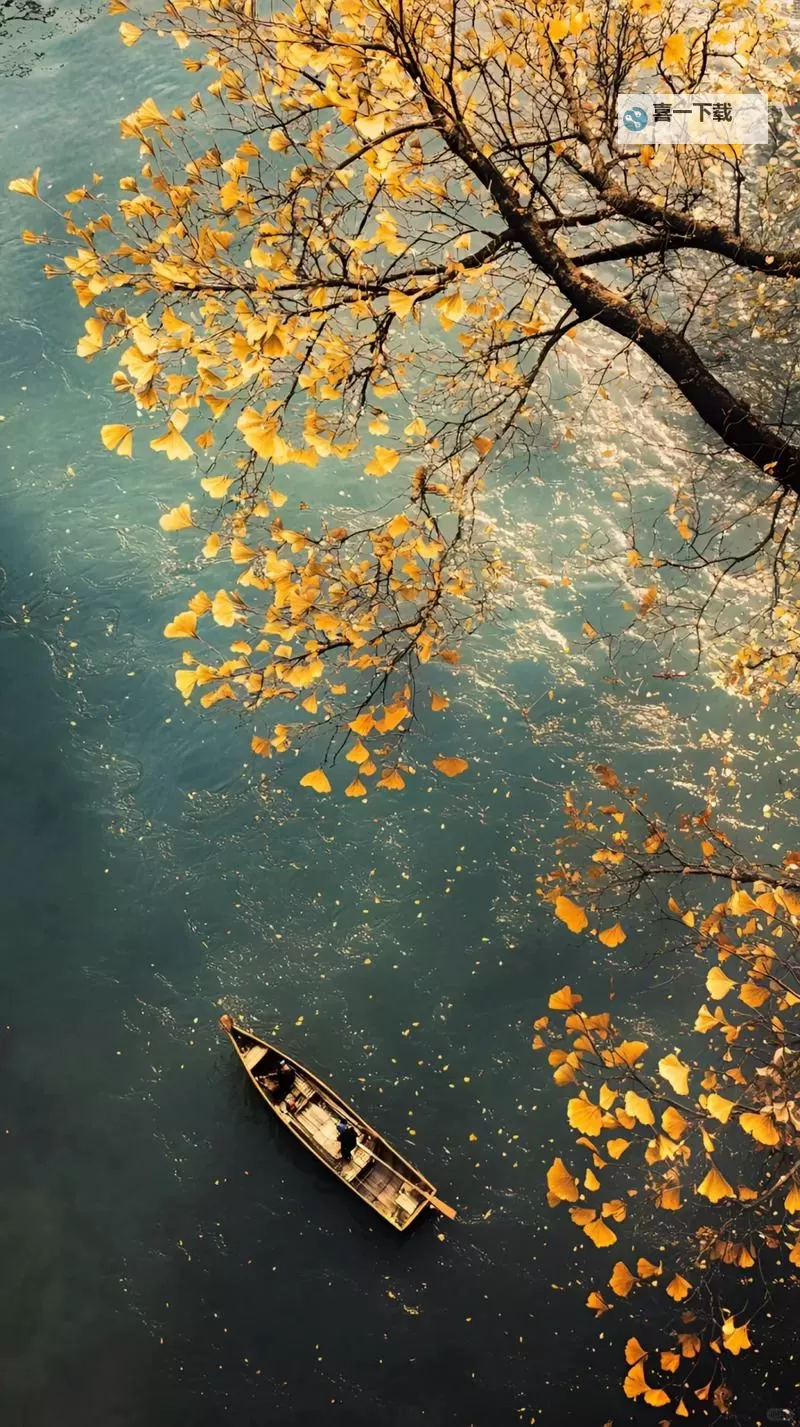 探索隐秘角落：全面解析摄像头偷拍福利导航的发展与现状图2