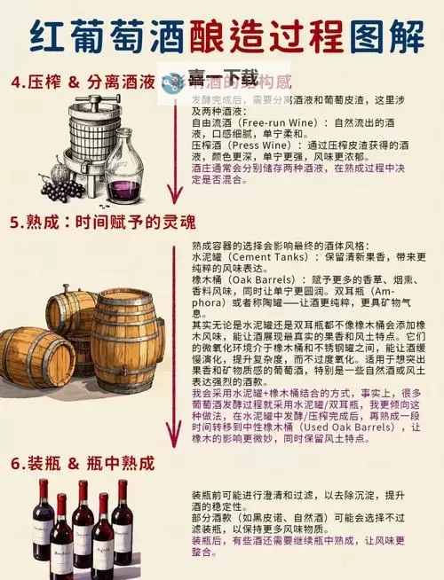 掌握技巧:自酿葡萄酒视频教程让你轻松打造美味佳酿图1